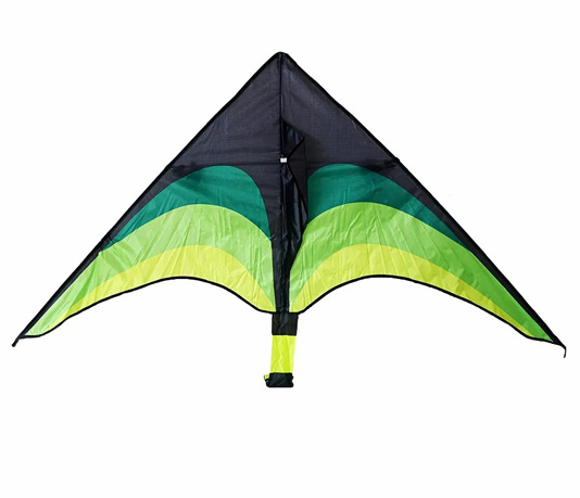 Hot Sale The Kite Factory Cheap Polyester Delta Kites