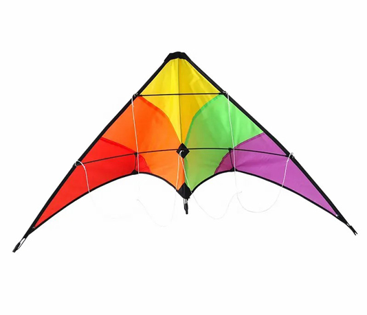Flying 3d Nylon Kite,Stunt Kite