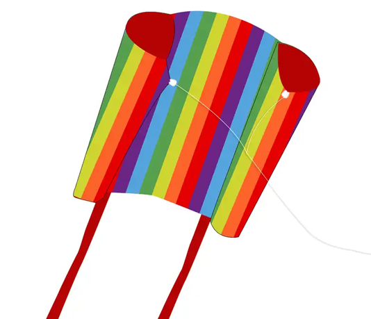 Best selling Big Pocket Sled kite single line power kites on Sale
