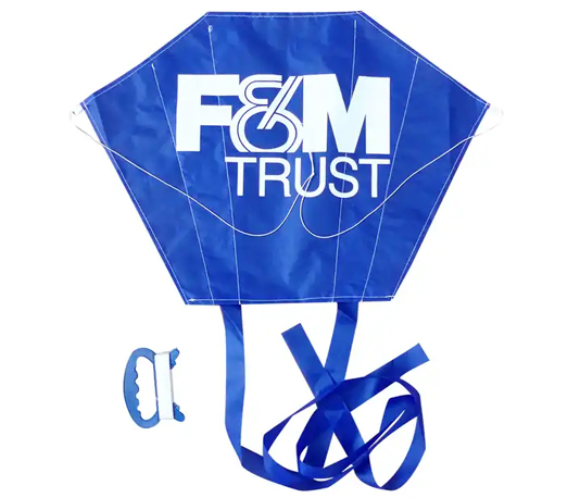polyester pocket sled Kite From the kite factory