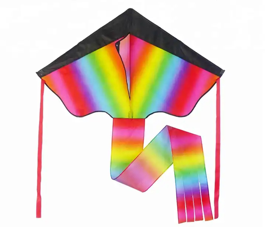 customized nylon huge chinese rainbow kite for kids