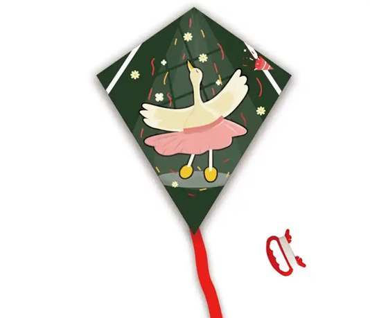Outdoor Sport Hot sale Flying Chinese kite from the kite factory